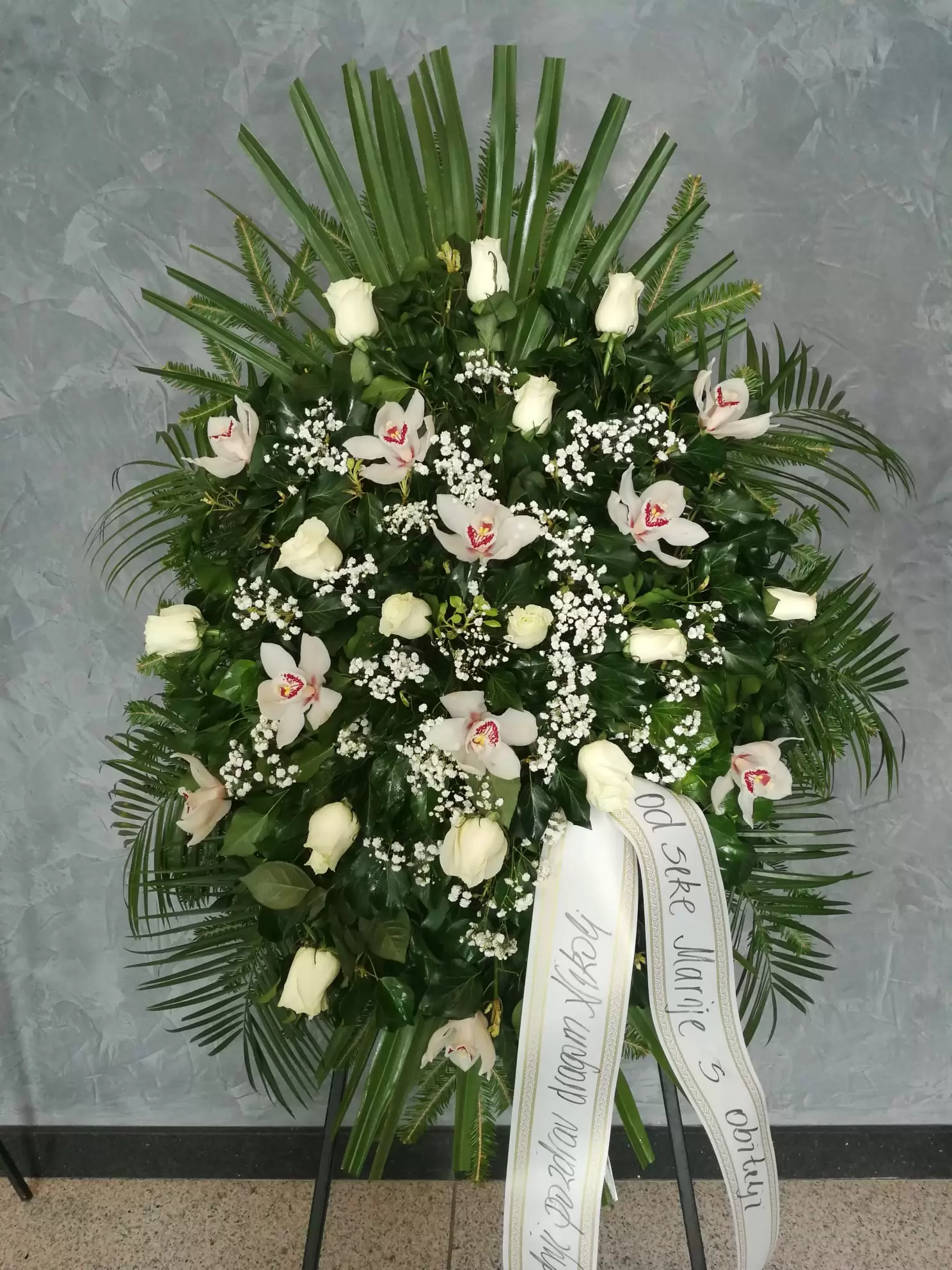 WhatsApp Image 2025-12-11 at 16.37.59