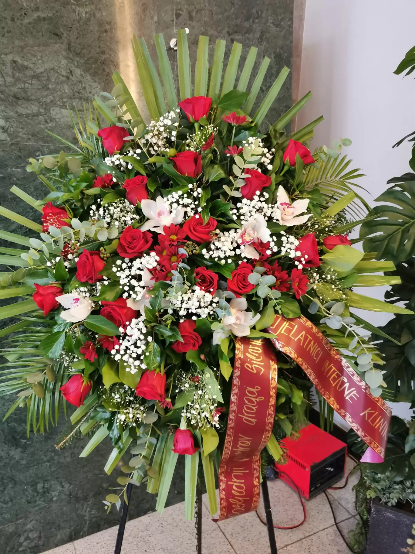 WhatsApp Image 2025-12-11 at 16.38.18