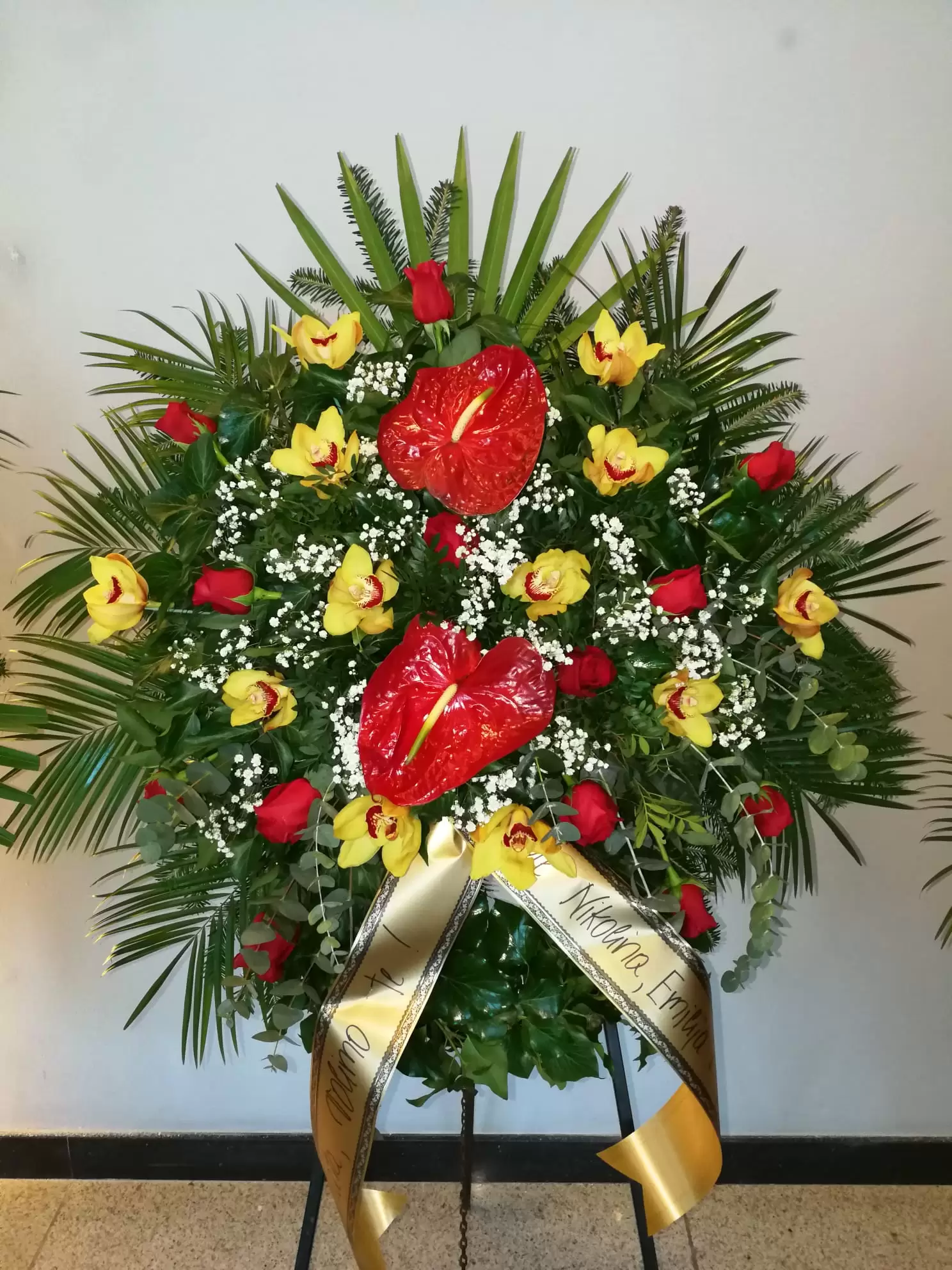 WhatsApp Image 2025-12-11 at 16.38.20